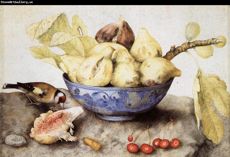 Giovanna Garzoni Chinese Cup with Figs,Cherries and Goldfinch